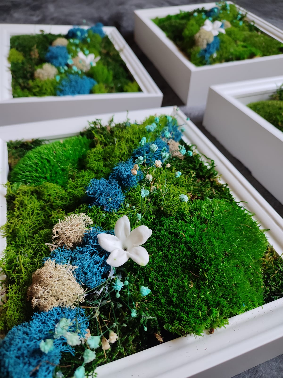 Artesanato feito de musgo escandinavo e plantas preservadas em moldura branca - flor Fada Jasmin