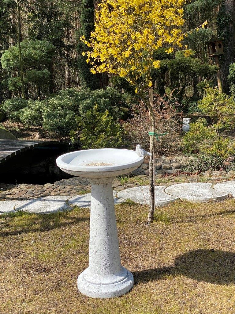 Banheira de concreto arquitetônico premium - 76 cm de altura