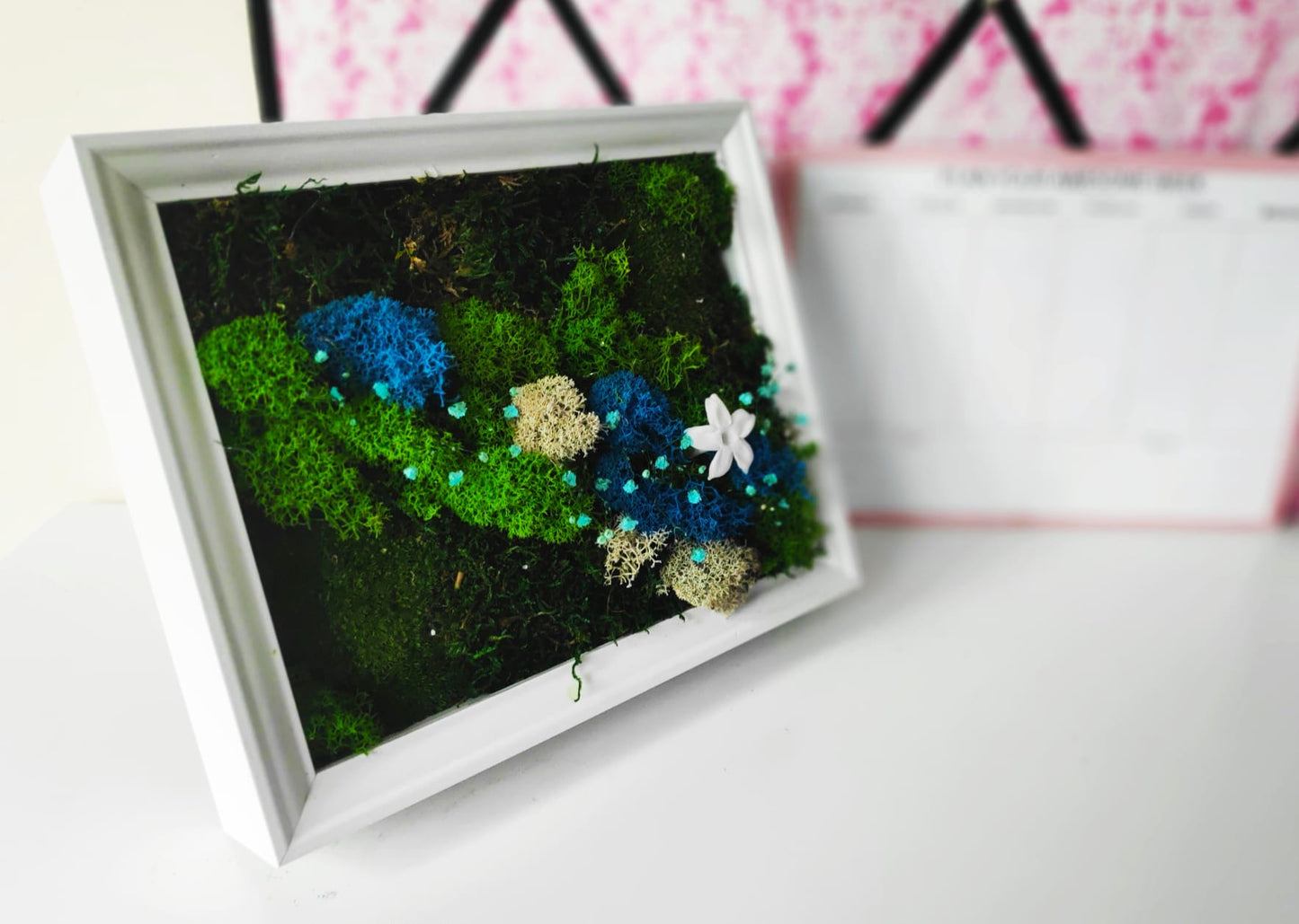 Artesanato feito de musgo escandinavo e plantas preservadas em moldura branca - flor Fada Jasmin