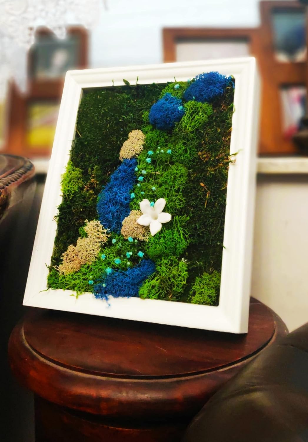 Artesanato feito de musgo escandinavo e plantas preservadas em moldura branca - flor Fada Jasmin