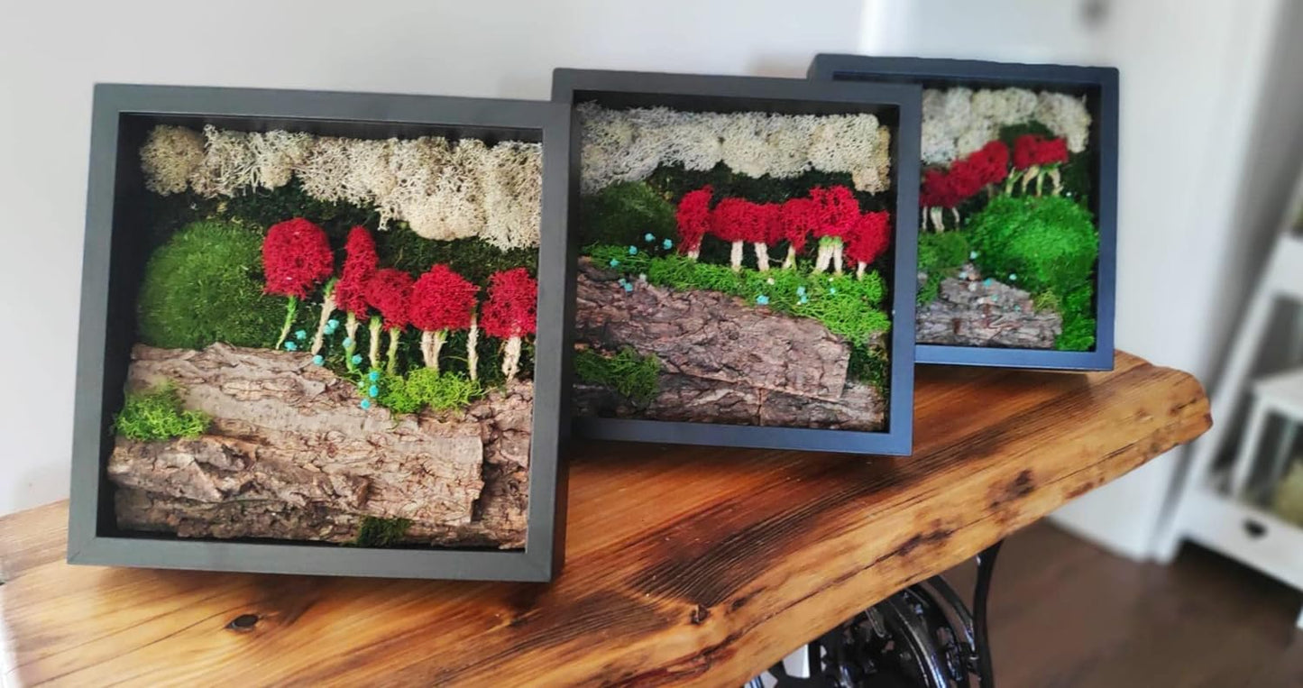 Artesanato feito com plantas preservadas e musgo de rena na moldura preta 27x27cm - Outono Mágico em Paris