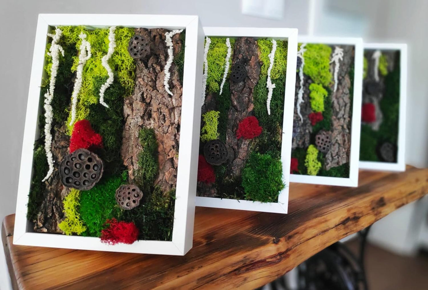 Composição de musgo escandinavo em moldura branca 23x32cm, obra de arte feita de plantas preservadas - País das maravilhas místicas