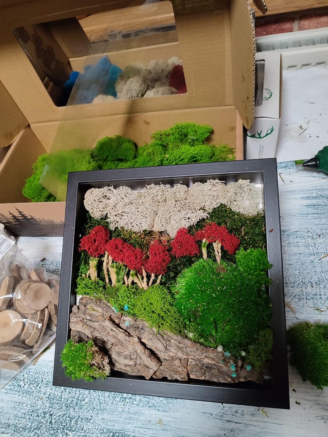 Artesanato feito com plantas preservadas e musgo de rena na moldura preta 27x27cm - Outono Mágico em Paris