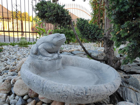Charming Frog Design Concrete Birdbath - Small, 36x18cm