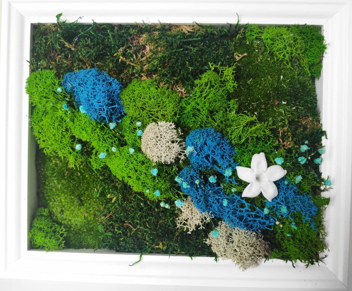 Artesanato feito de musgo escandinavo e plantas preservadas em moldura branca - flor Fada Jasmin